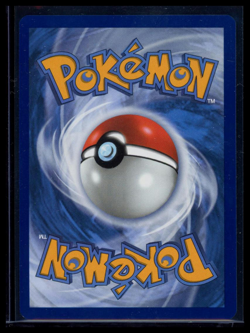 2025 Journey Together Wailord Holo Secret Rare #162/159