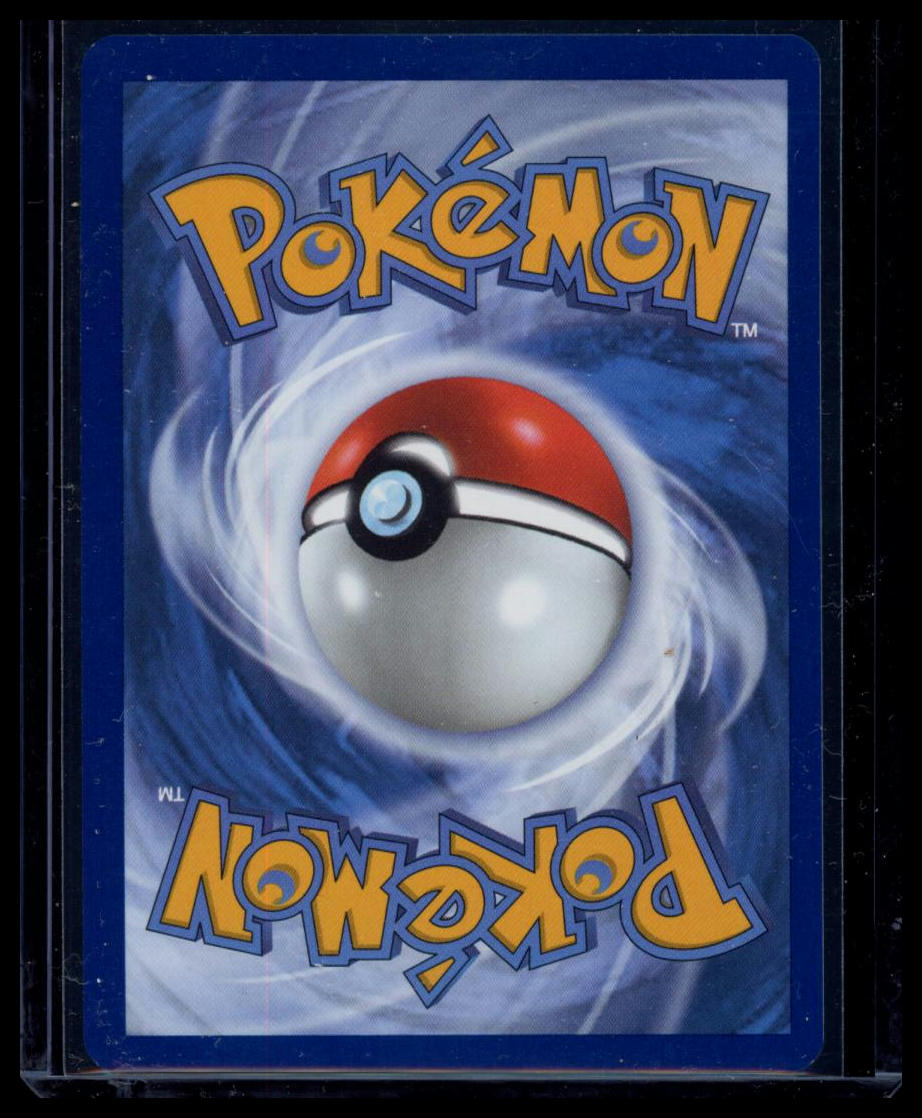 2023 Crown Zenith Lucario VSTAR Holo Black Star Promo #SWSH291